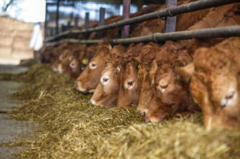 National On-Farm Collection Team