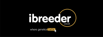 ibreeder Livestock Trading Platform - Bull Semen Sales