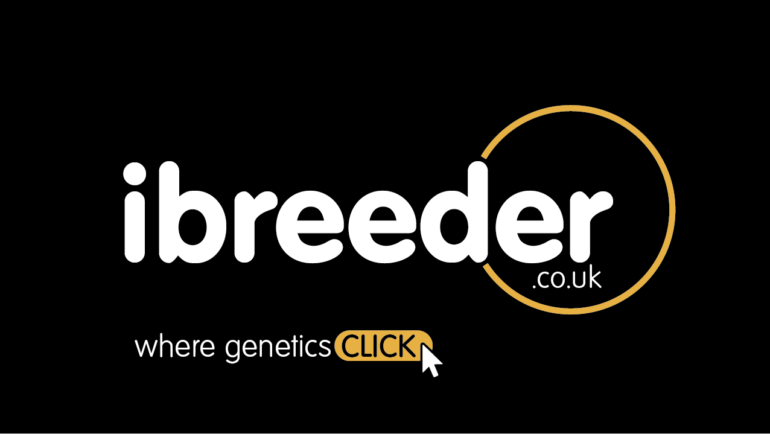 ibreeder Livestock Trading Platform Launch