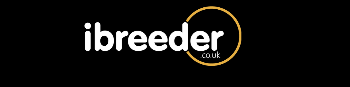 ibreeder bull semen sales